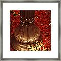 Gold Red And Bronze Autumn Framed Print