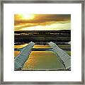 Gold Salt Framed Print