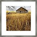 Golden Cabin Framed Print