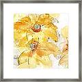 Golden Clematis 1 Framed Print