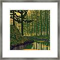 Golden Forest Framed Print