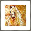 Golden Grace Equine Abstract Framed Print