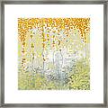 Golden Morning Framed Print