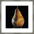 Golden Pear Framed Print