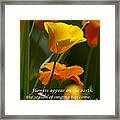 Golden Poppy Floral  Bible Verse Photography Framed Print