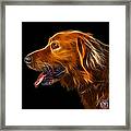 Golden Retriever - 4047 F Framed Print