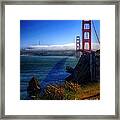 Golden Shadow Framed Print