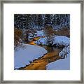 Golden Silence Framed Print