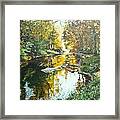 Golden Stream Framed Print