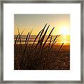 Golden Sunset Beach Framed Print