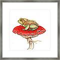 Golden Toad Framed Print