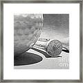 Golf Ball And Tees Black And White Framed Print