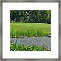 Golf Course Lay Up Framed Print