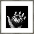 Goliath Means Goliath Framed Print