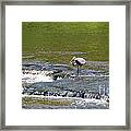 Gone Fishen Framed Print