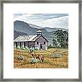 Gone To The Dogs Framed Print