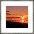 Good Morning ... Framed Print