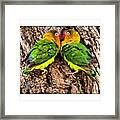 Good Morning Igers, A Couple Of Love Framed Print