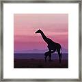 Good Morning Masai Mara 7 Framed Print