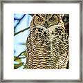 Got My Eyes On You Framed Print