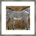 Got Your Back Framed Print