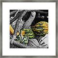 Gourds In Wicker Basket Framed Print