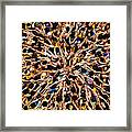 Govindas Framed Print