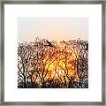 Graceful Crane In Morning Sun Framed Print