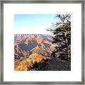 Grand Canyon 63 Framed Print