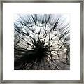 Grand Mountain Dandelion 2 Framed Print