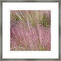 Grass Photography - Soft - By Sharon Cummings Framed Print