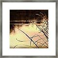 Grasses Over Lake Framed Print