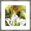 Grasshopper Tulip Framed Print