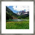 Grassy Bells Framed Print