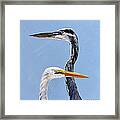 Great Blue And White Framed Print