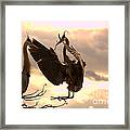 Great Blue Heron Greets Mate With Twig Framed Print