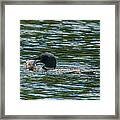 Great Catch Framed Print