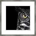 Great Horned Owl Photo Framed Print
