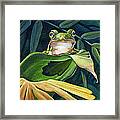 Great Pose Framed Print