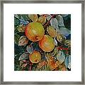 Green Apples Framed Print