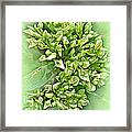 Green Bouquet Framed Print