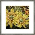 Green Eyed Susie Framed Print