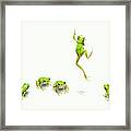 Green Flog Jumping Framed Print
