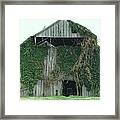 Green Ivy Barn Framed Print