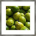 Green Limes Framed Print