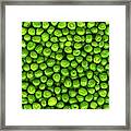 Green Peas, Close Up Framed Print