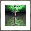 Green Reflection Framed Print