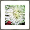 Green Tiped Framed Print