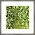 Green Water Framed Print