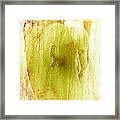 Greenback Framed Print